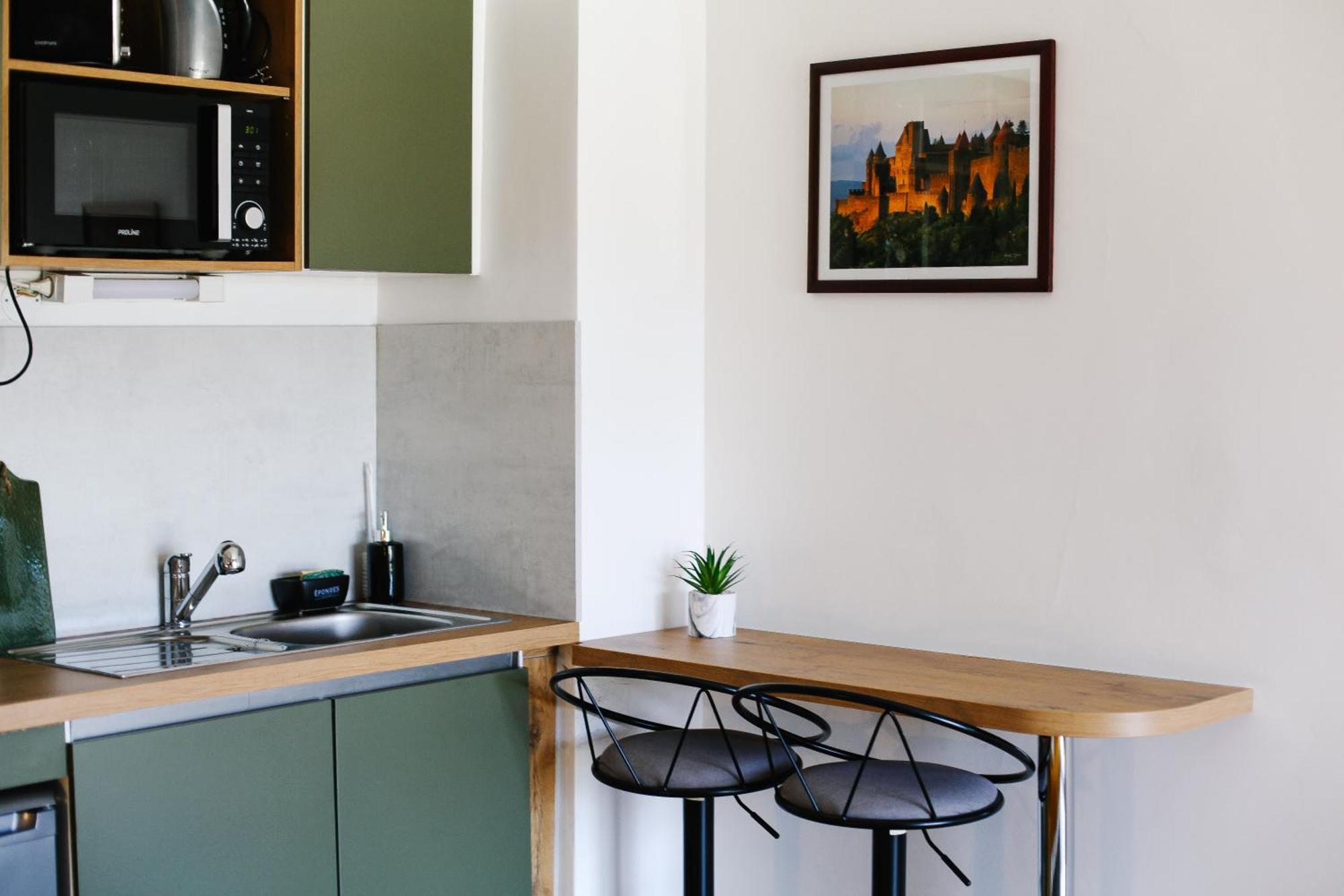 Studio Avec Parking Vue Sur La Cite De Каркасон Екстериор снимка