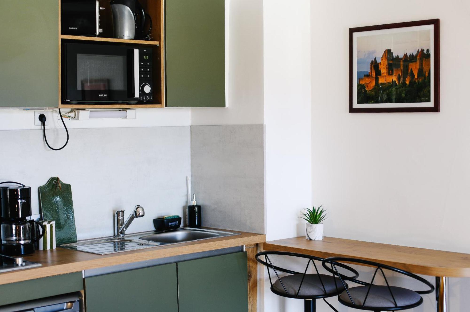 Studio Avec Parking Vue Sur La Cite De Каркасон Екстериор снимка